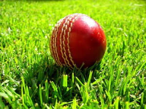 cricket_ball_on_grass.jpg